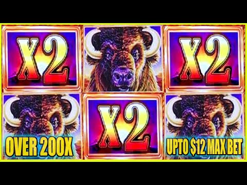 A Full Guide on Exactly How to Play Buffalo King Megaways Slot