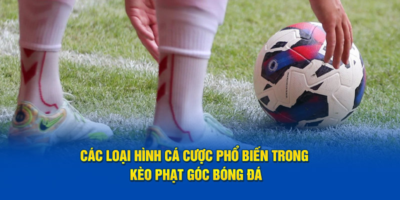 Các loại hình cá cược phổ biến trong kèo phạt góc bóng đá