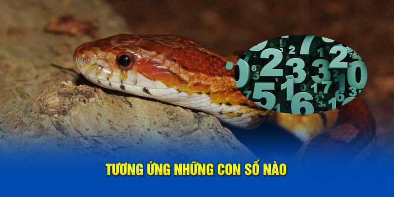 Tương ứng những con số nào